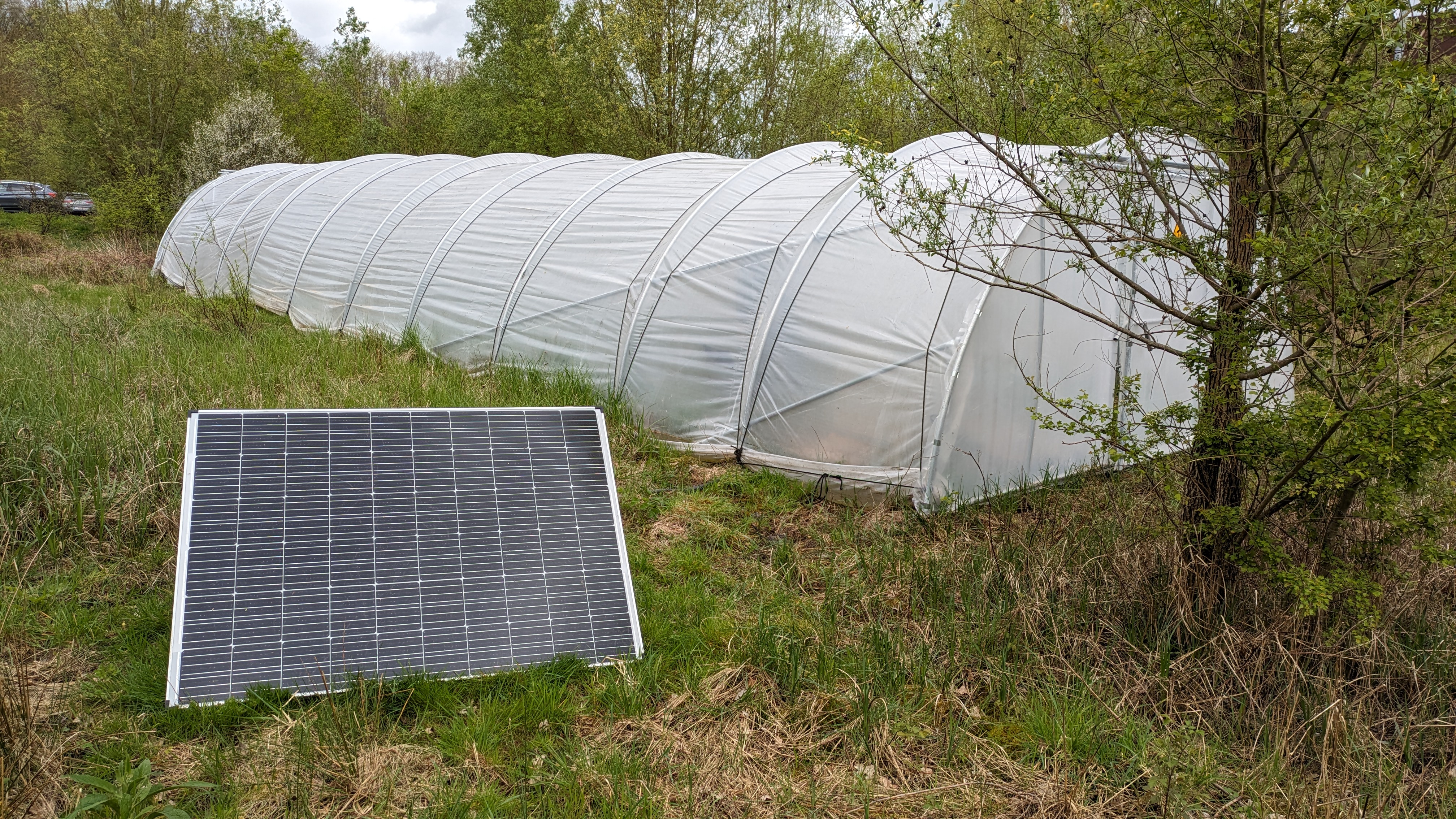 greenhouse